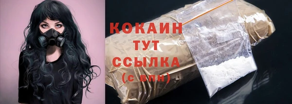 индика Осинники