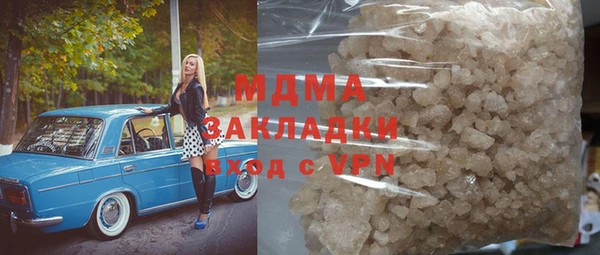 индика Осинники