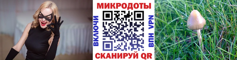 Галлюциногенные грибы Psilocybine cubensis  купить   площадка какой сайт  Соликамск 